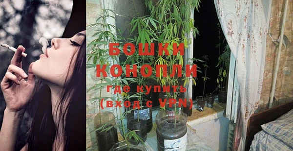 индика Заволжье