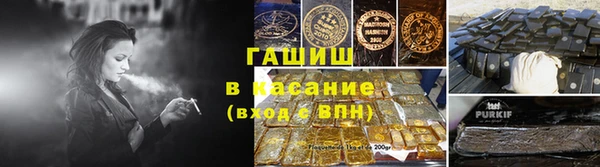 индика Заволжье