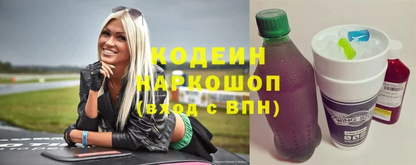 индика Заволжье