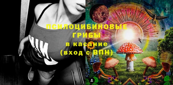 индика Заволжье