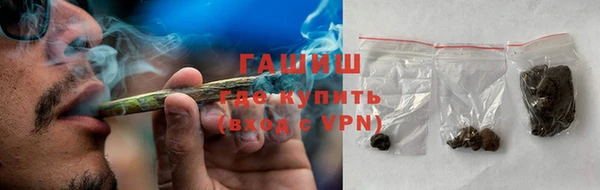 индика Заволжье