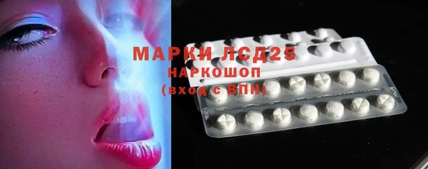 индика Заволжье