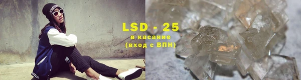 индика Заволжье