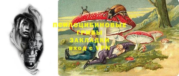 индика Заволжье