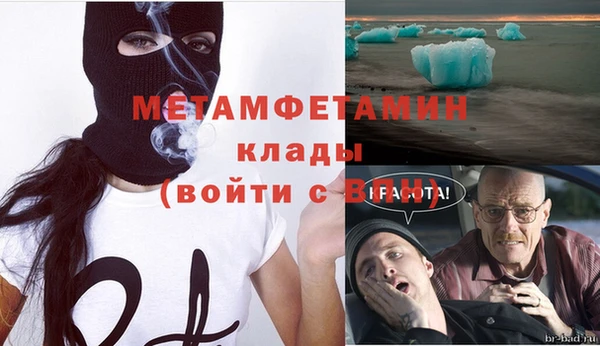 индика Заволжье