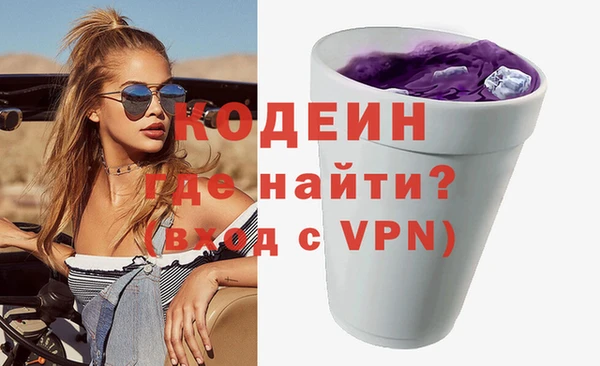 индика Заволжье