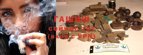 индика Заволжье