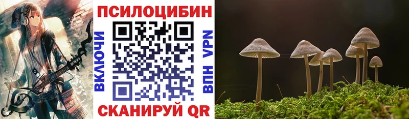 Псилоцибиновые грибы прущие грибы  Каменка 