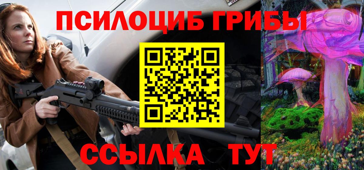 Псилоцибиновые грибы Psilocybe Каменка