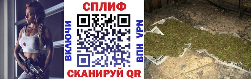 Каннабис Bruce Banner  Каменка 